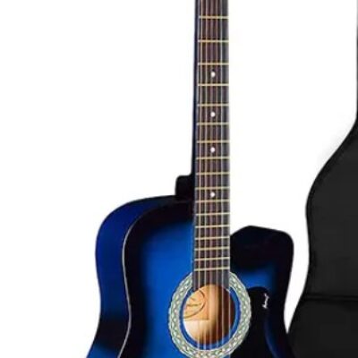 Tansen Acoustic Guitar AG-38C