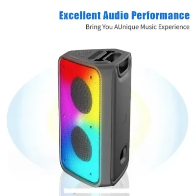 Tolaye JBK-6601 Dual 6.5inch Party Box Speaker